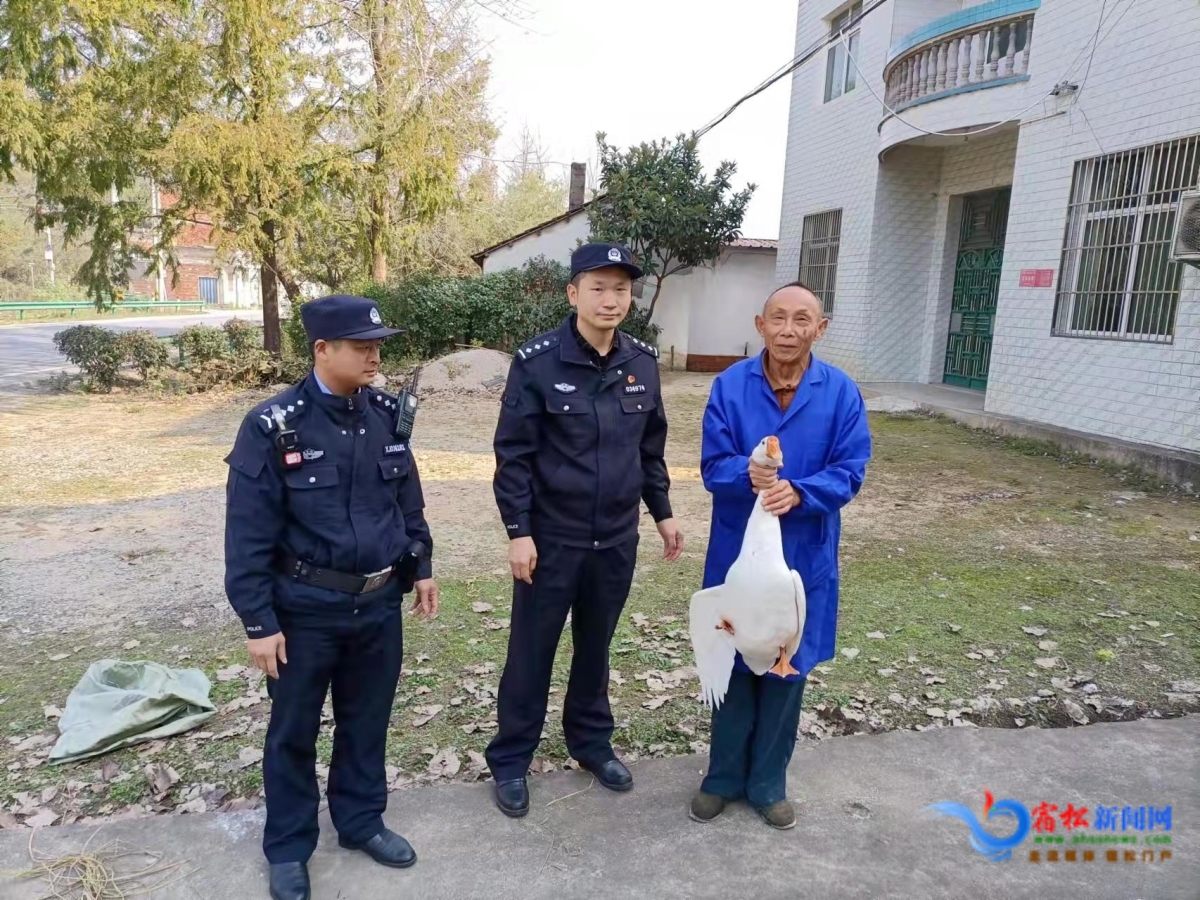 發還追回的大白鵝.jpg