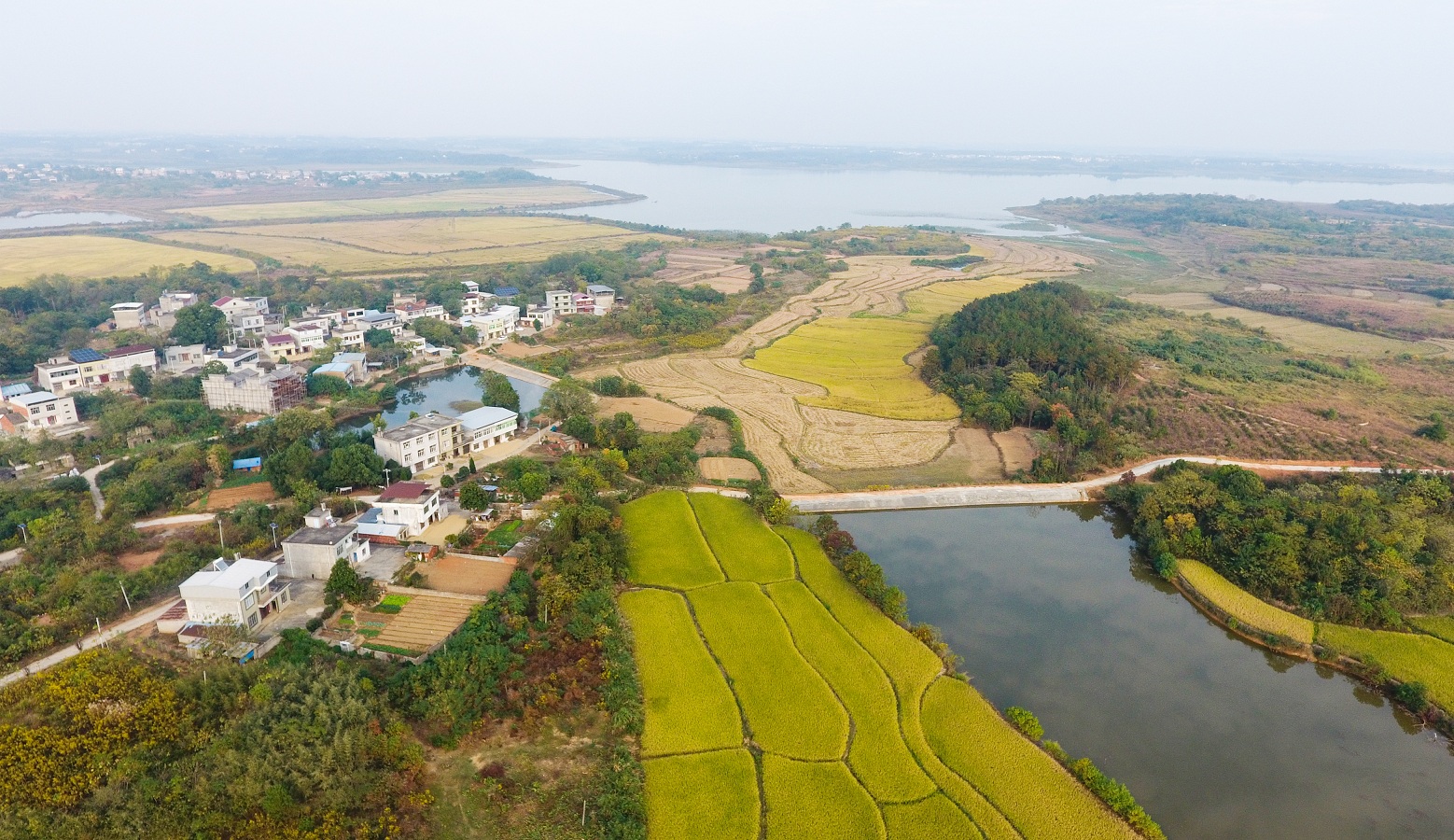 鳥瞰楊茂村.jpg